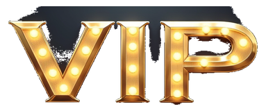 club vip logo
